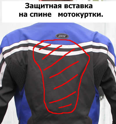 защита мотокуртки сзади