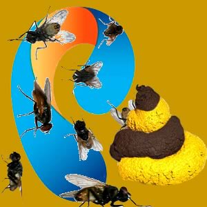 Новогодний «подарок» от Ростелекома Новогодний «подарок» от Ростелекома