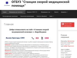 ОГБУЗ Бирибиджанская СМП