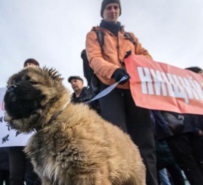 Пикет в Магнитогорске