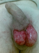 ulybka