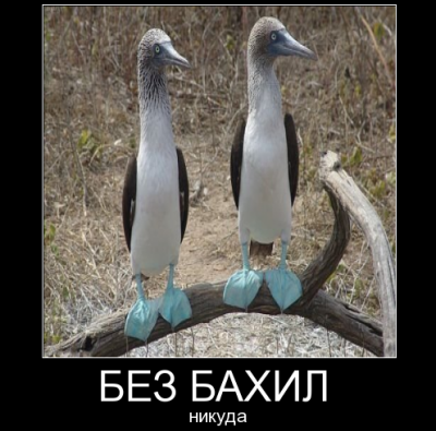 На вызов- БЕЗ бахил! На вызов- БЕЗ бахил!
