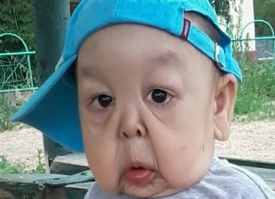 Лицо охотничьей собаки Лицо охотничьей собаки