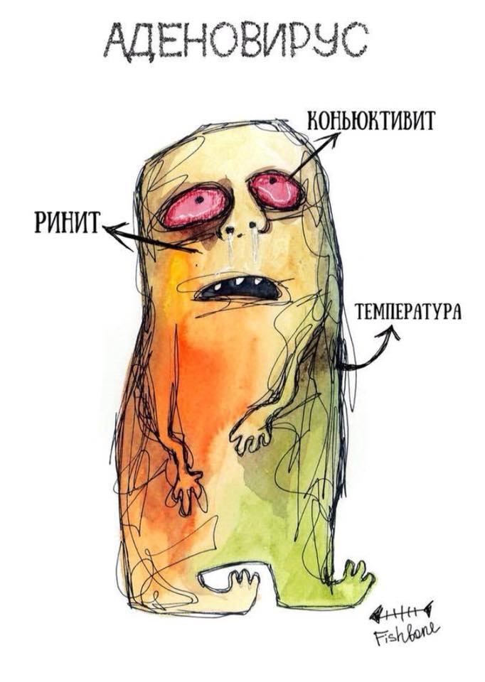 Аденовирус Аденовирус